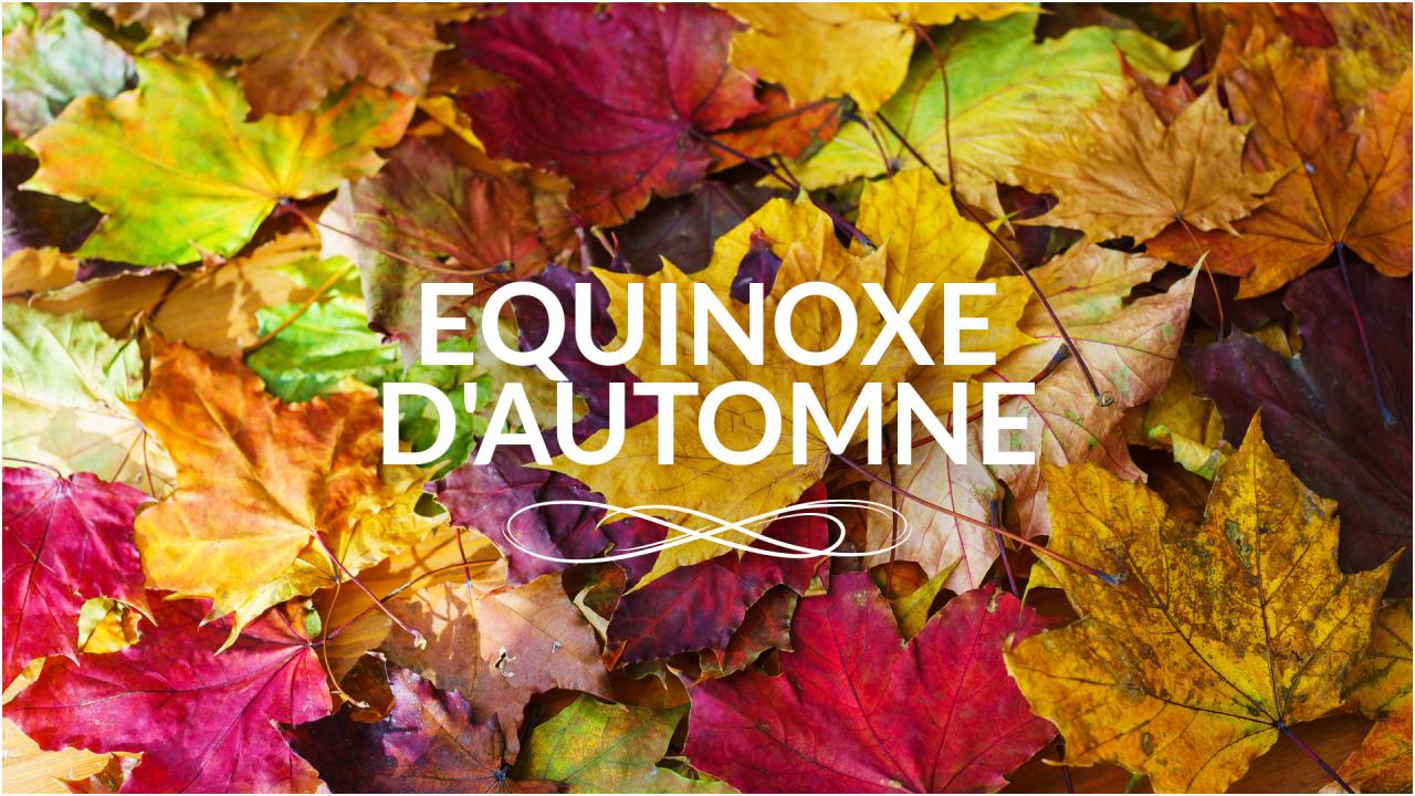 Équinoxe d’automne : Un cycle de transformation se prépare