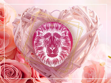 Le Lion et l’amour !